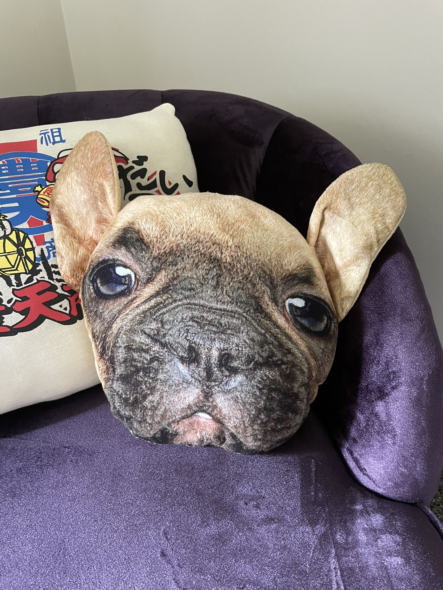 Hyperrealistic Frenchie Head Pillow