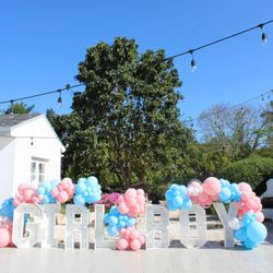 Gender Reveal/ Event Decor