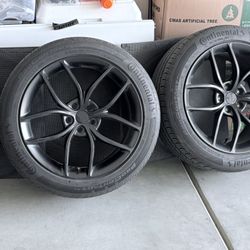 Tesla Model Y Wheels