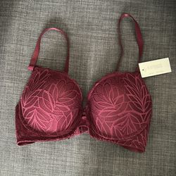 Burgundy push up bra
