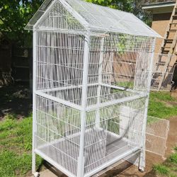 Bird Cage 