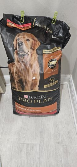 Free Dog And Cat Food