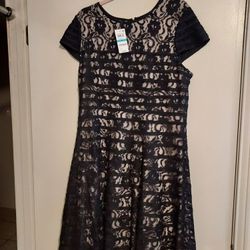 Lady's Black Dress