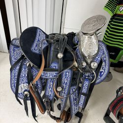 Montura Plateada 