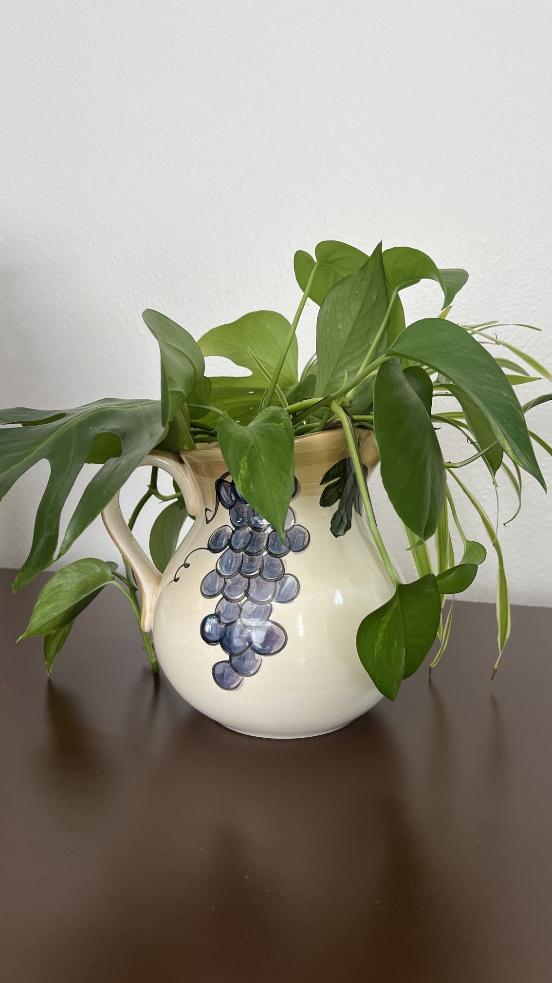 Pot With Plants