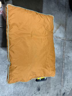 Pet bed never used