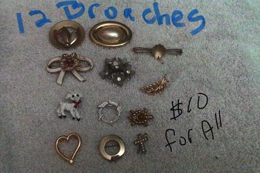 12 FASHION BROACHES $10 For All
