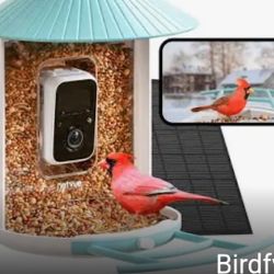 New  Soler Camera Bird Feeder