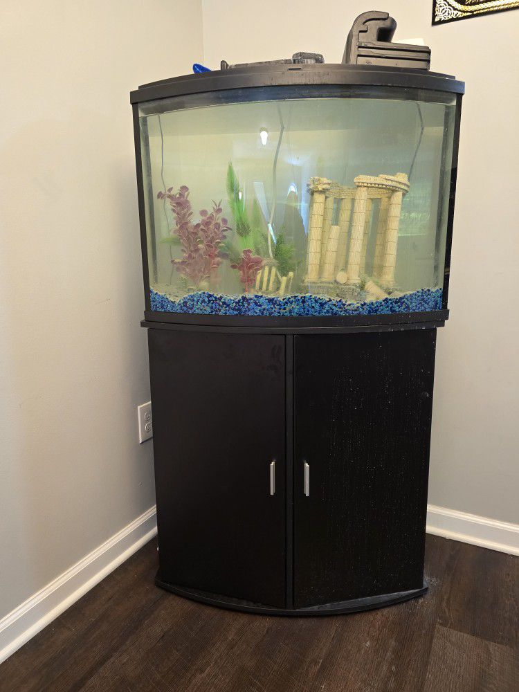 Aquarium LIKE New 36 Gallon With Stand