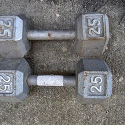 One Set Of Two 25LB Dumbells and One Set Of Two Pushup Bars