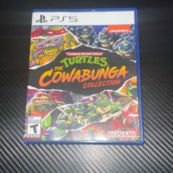 Teenage Mutant Ninja Turtles Cowabunga Collection Ps5 
