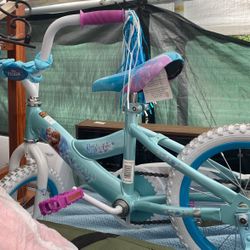 Frozen Bike 