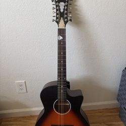 Di’Angelico 12 String Guitar 