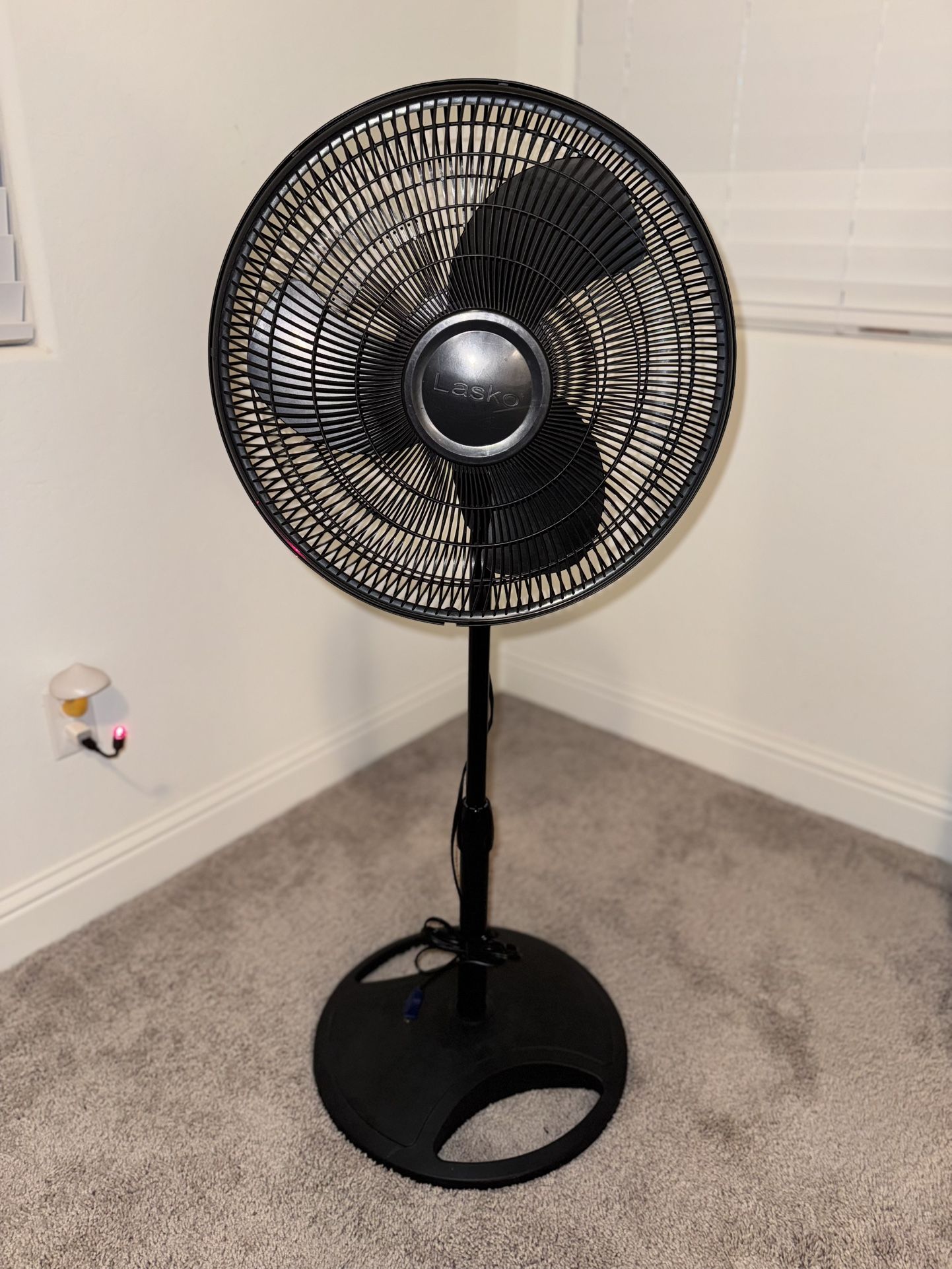 Standing Fan