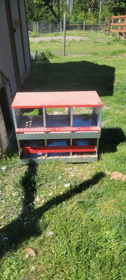 Neatung Boxes- Chickens