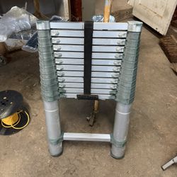 Telescoping A luminum Ladder