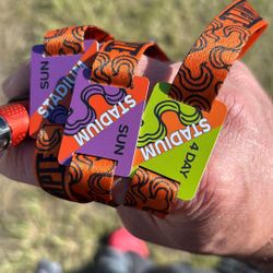 Sonic Temple festival passes