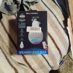 Lightbulb Speaker
