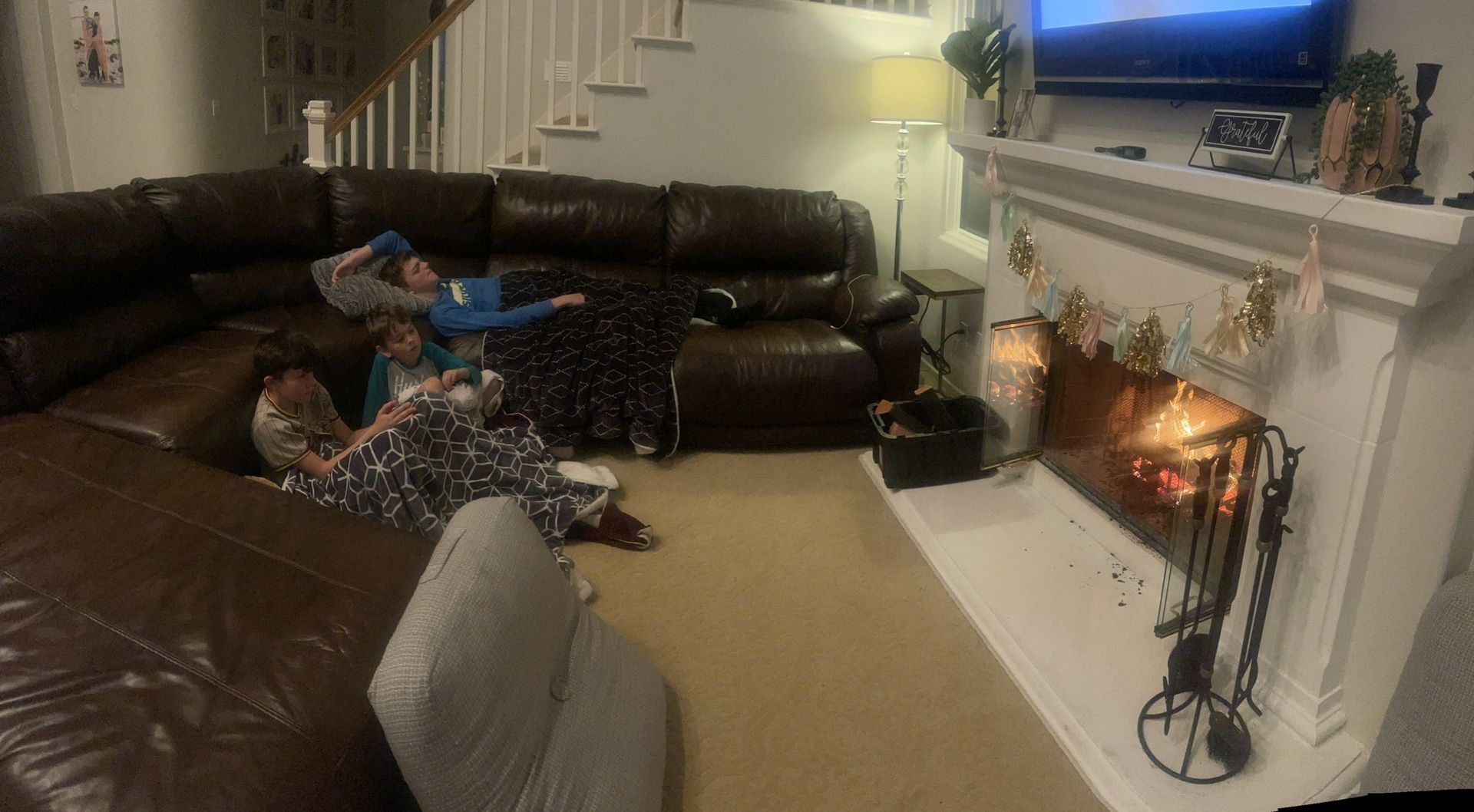 Brown Leather Couch