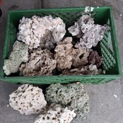 Salt Water Tank Rock