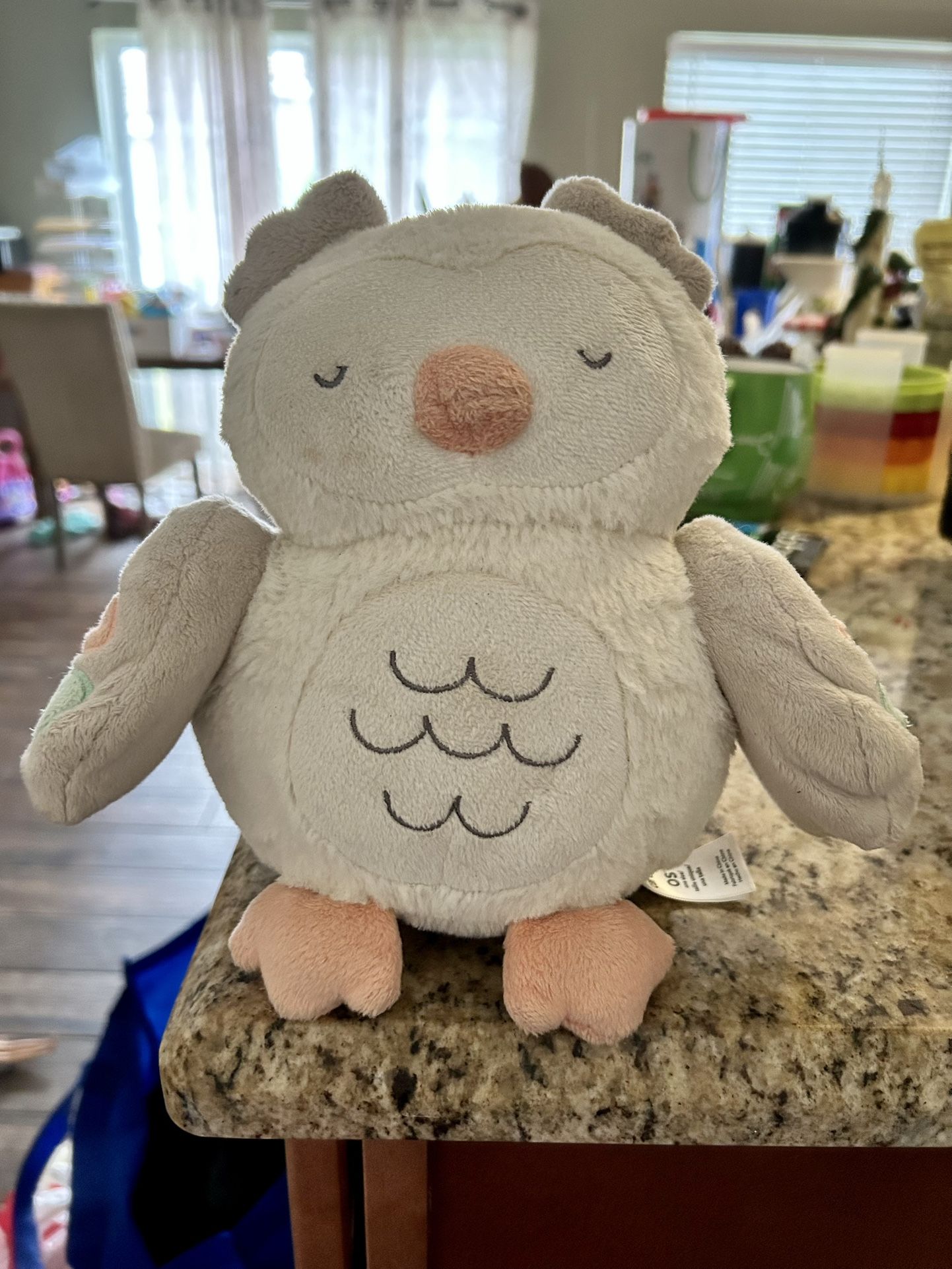 Carters Owl Baby Music And Projector