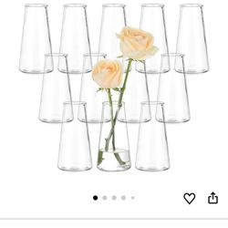 Glass Bud Vase 12pcs