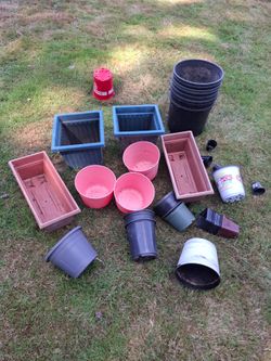 Lot of flower pots- price for all (E) and free strawberry plant/runner