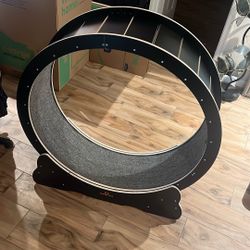 Cat Treadmill 