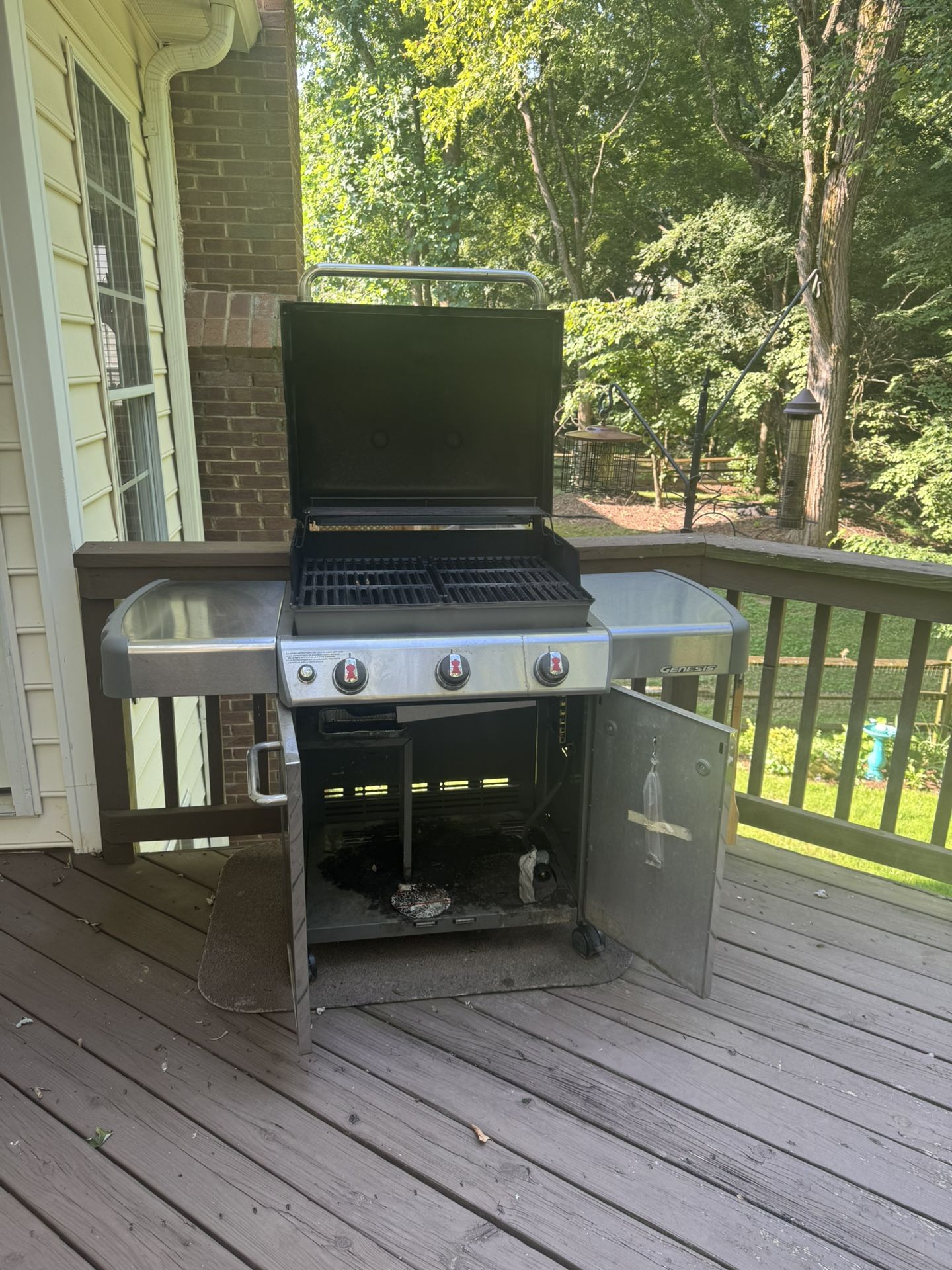 Weber Genesis Grill