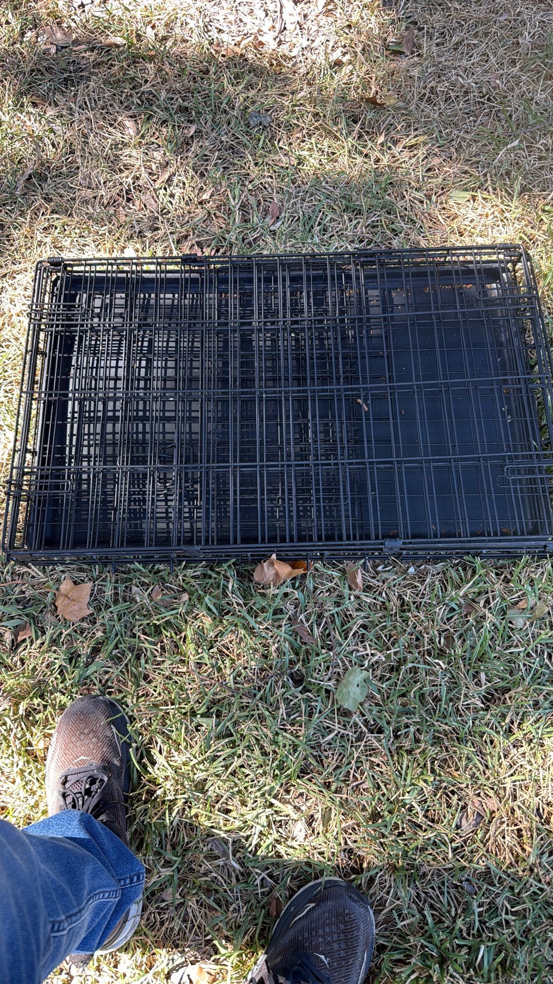 19” X 30” Cannold $40 Or Best Offer