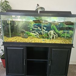 75 Gallon Wide Tank