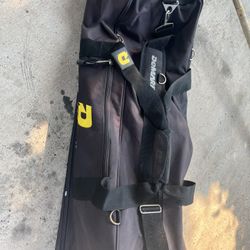 Softball/Baseball Bag