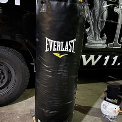 Everlast Punching Bag 