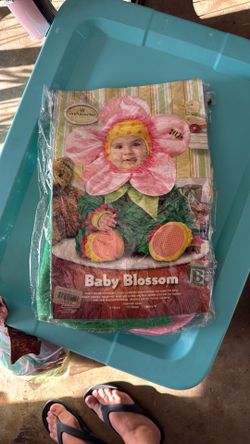Baby blossom