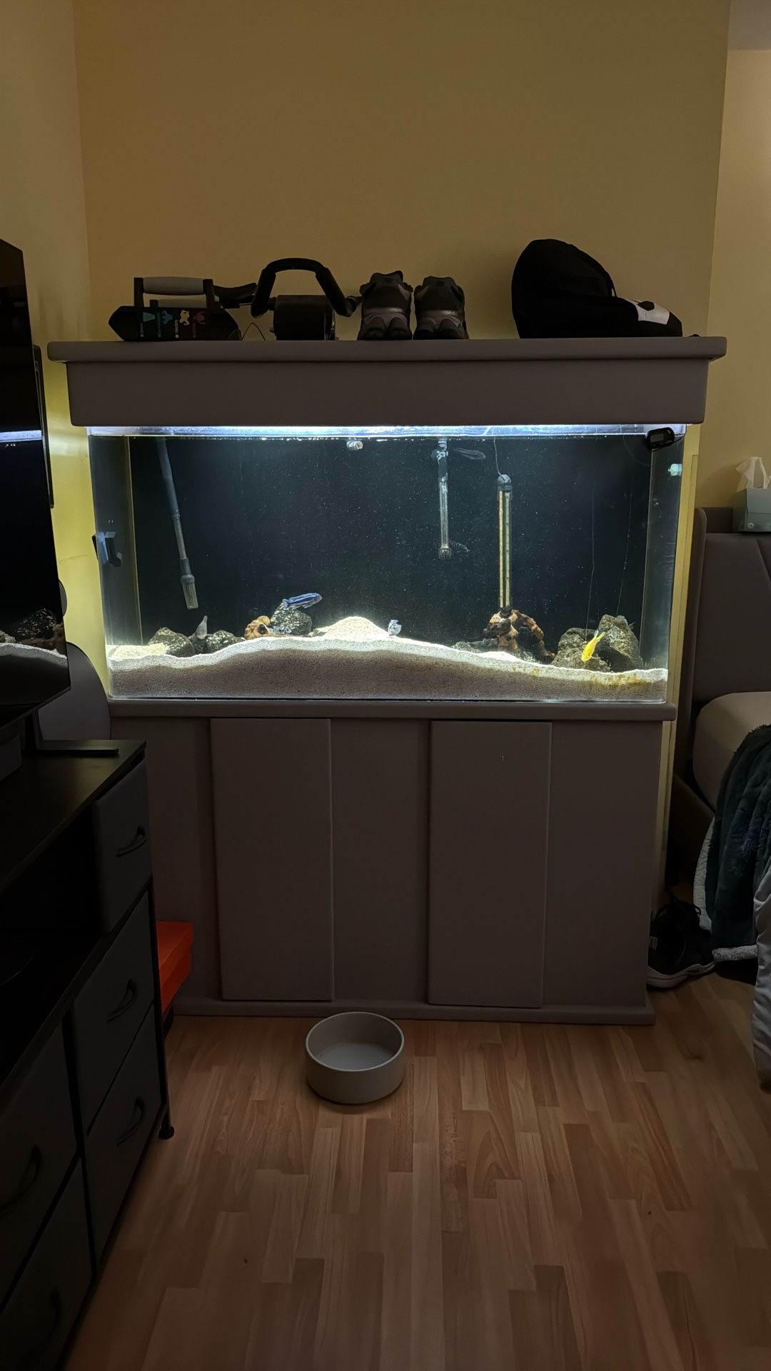 Fish Tank