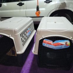 Pet Kennel    Large    Vibrant LIFE