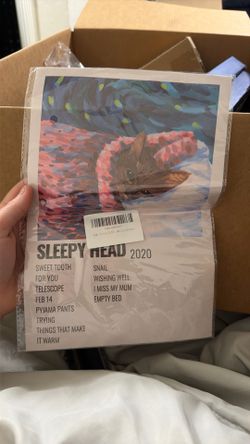 Cavetown poster
