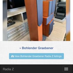 B&g  Speakers High End