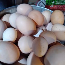 Fresh Farm Eggs