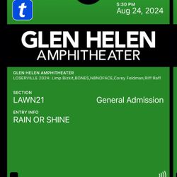 2x Limp Bizkit (Loserville) Lawn Tickets (Tonight!)