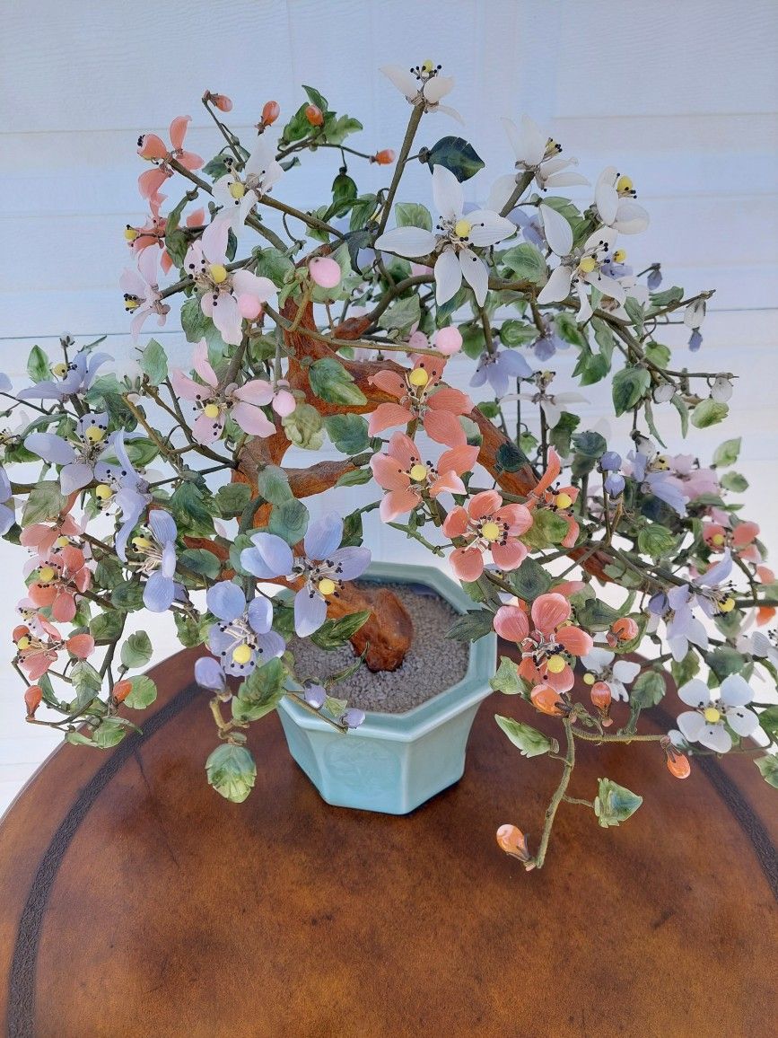Vintage Large Jade Tree