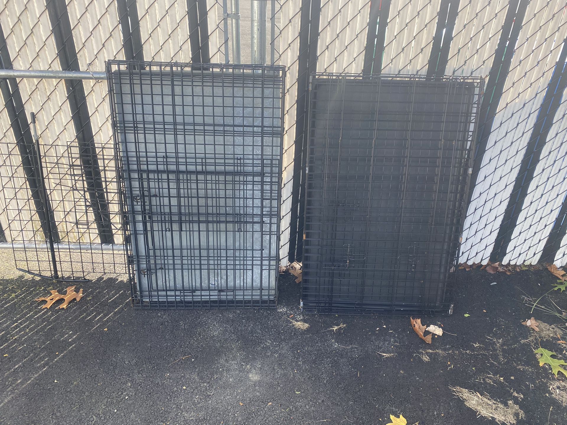 Large Dog crates