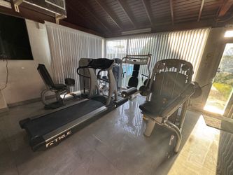 Amazing TechnoGym full  Professional  Gym Equipment Set!