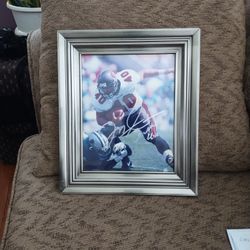 NFL Player Mike Alstott , Frame Picture . Make Offer.