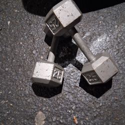 25lbs Free weights