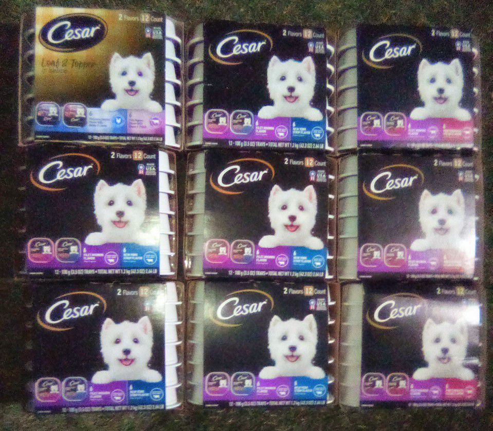 9 Boxes of Cesar Dog Food - 12 Packs in Each Box
