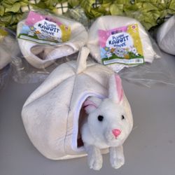 Bunny Stuffed Animal