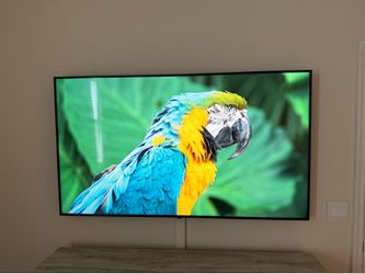 65” TV