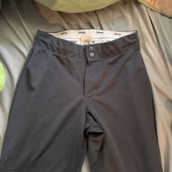 Softball pants