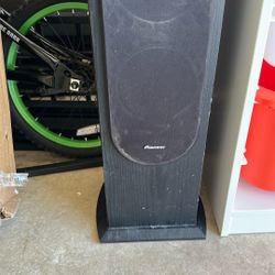 Pioneer speaker